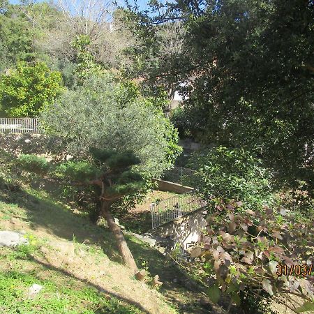 Chiapatella Bed & Breakfast Folelli Bagian luar foto